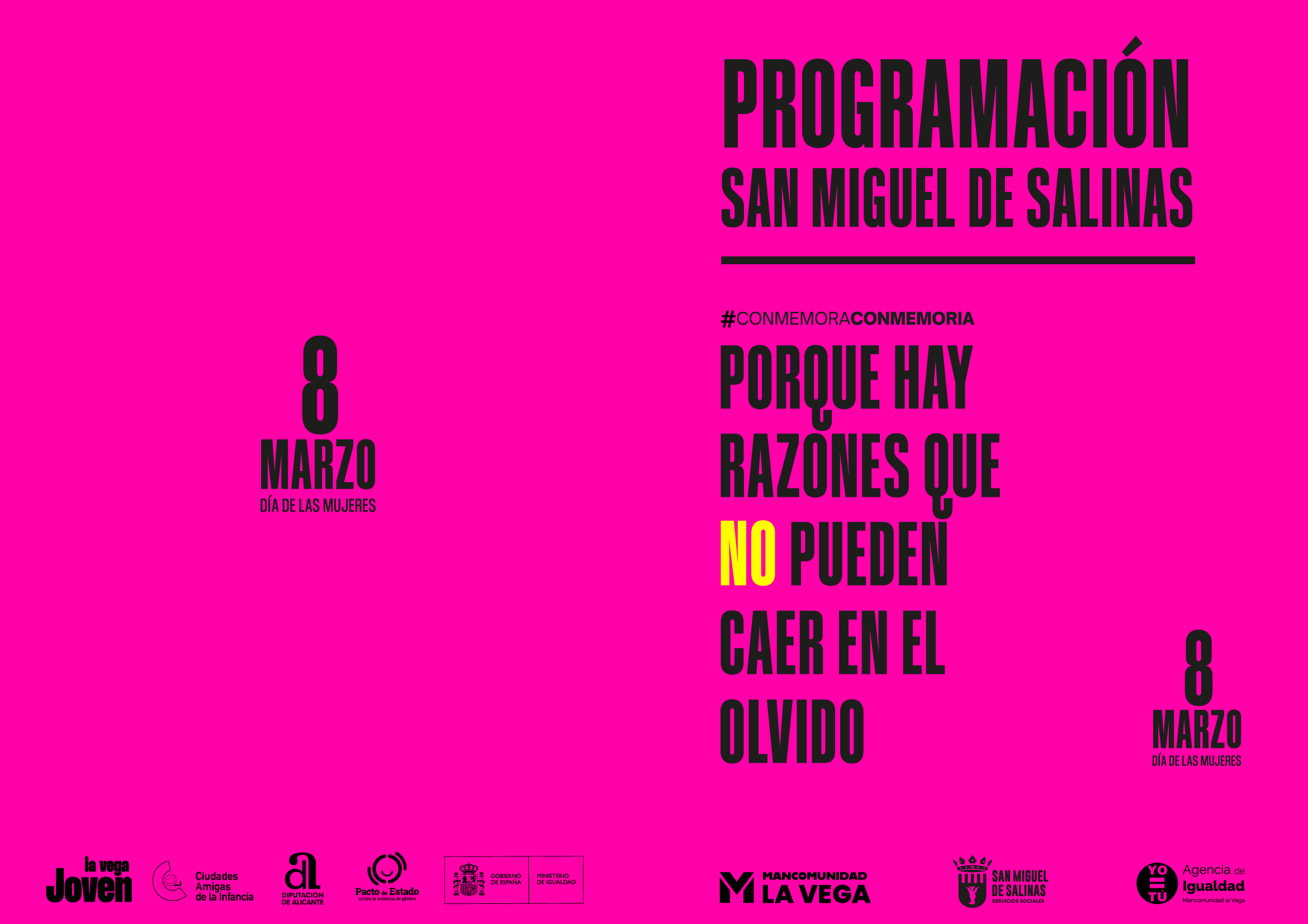 Programación San Miguel de Salinas